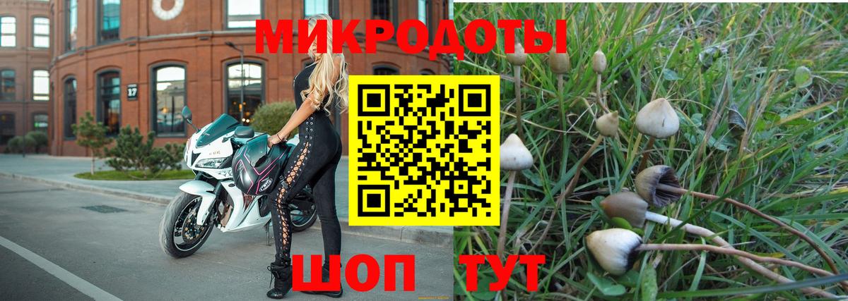 Всеволожск  Галлюциногенные грибы ЛСД  Вход с VPN  Галлюциногенные грибы мицелий 